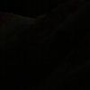 edeline_mesidor